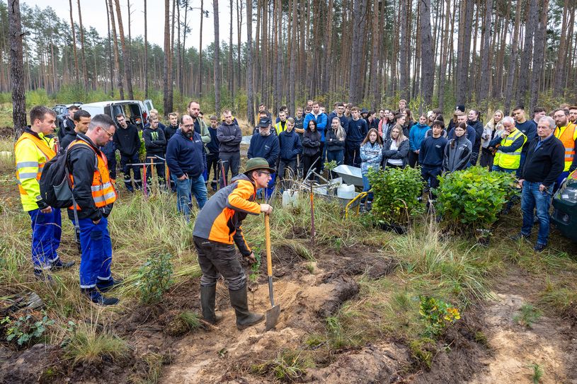 Nachhaltige Aktion in Südbrandenburg: Rund 260 Auszubildende der enviaM-Gruppe aus Brandenburg, Sachsen-Anhalt und Sachsen haben im Falkenberger Stadtwald 15.000 Bäume gepflanzt.  Foto: pm