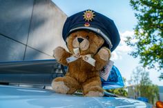 Ein Teddy kann Kinder in Notsituationen trösten.