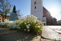 Von Himmelfahrt bis Pfingsten gibt es in Lübben jede Menge Angebote, um die Natur und Kultur der Spreewaldstadt zu erkunden.
