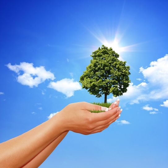 Foto: panthesja/fotolia.com