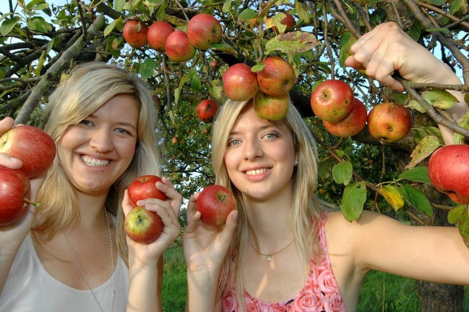 Zur Begrüßung erhält jeder Messebesucher erst einmal eine vitaminreiche Stärkung in Form eines Apfels. Foto: Witscherkowski