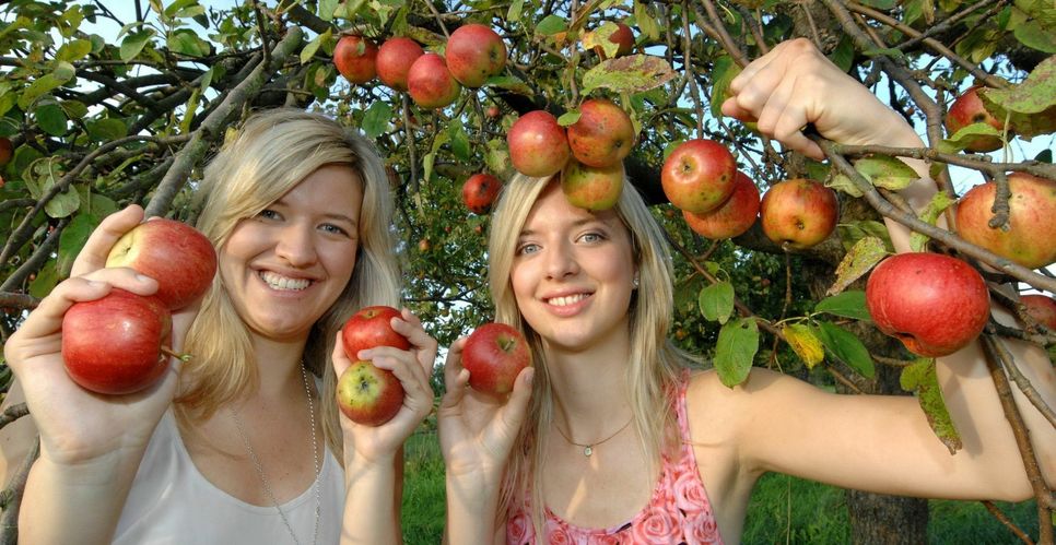 Zur Begrüßung erhält jeder Messebesucher erst einmal eine vitaminreiche Stärkung in Form eines Apfels. Foto: Witscherkowski