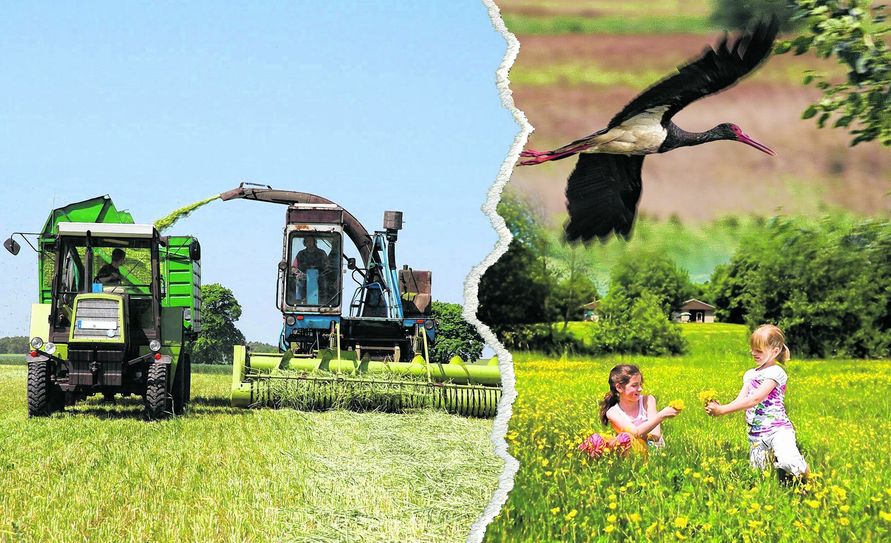 Vielseitig, nützlich und warmherzig präsentiert sich die Lommatzscher Pflege. Der Förderverein der Region feiert auch mit einer Landbaumesse jetzt sein 20. Jubiläum. Fotomontage: Farrar