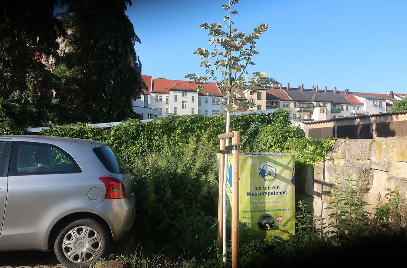 Der IBC-Container am Parkplatz Grohmannstraße / Klosterstraße liefert Wasser zum Gießen der jungen Silberlinde.