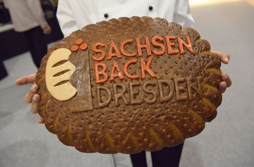 SACHSENBACK DRESDEN