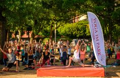 Yoga beim Palais Sommer im Alaunpark.