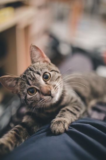 Foto: unsplash