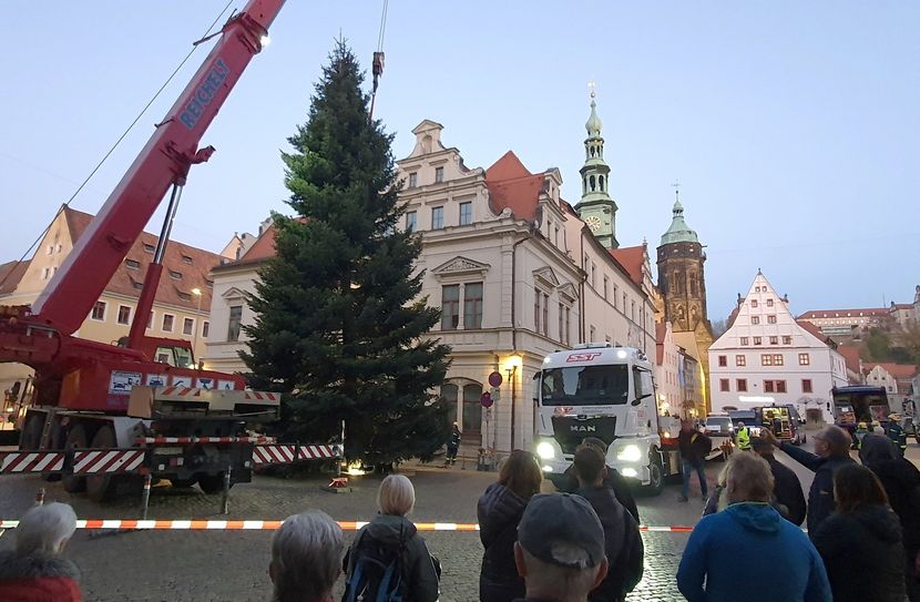 Das Aufstellen der Canaletto-Tanne war wieder ein Highlight für die Schaulustigen.