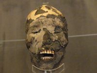 Mumien in Chile ausgestellt.