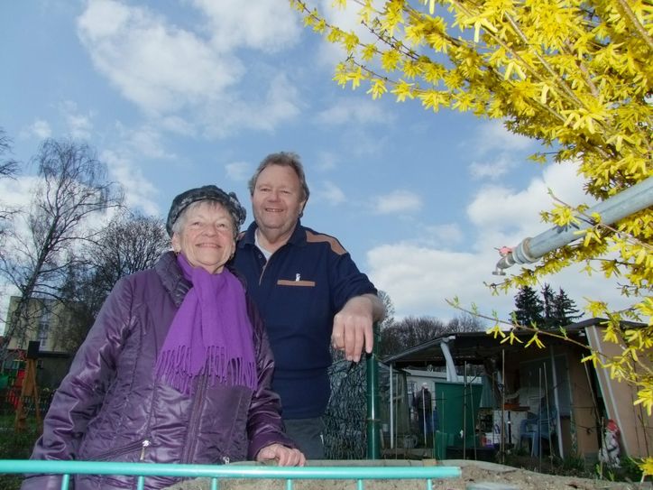 Auch beim Radeberger Kleingartenverein »Birkenhain« freut man sich auf den Beginn der diesjährigen Gartensaison. Wenn die in wenigen Wochen losgeht, dürfte auch das Telefon des Vorsitzenden Klaus Hempel  wieder häufiger klingeln. Dann, so Hempel (rechts im Bild mit dem ehemaligen Vorstandsmitglied Monika Hähne) wollen »etliche wissen, ob bei uns in eine Parzelle frei ist«. Foto: Rainer Könen