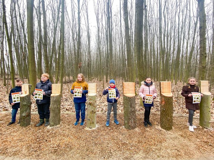 Die Kinder der Patenschule des Zweckverbandes Lausitzer Seenland Brandenburg ("Grundschule am See") weihten als erste Besucher den neuen Baumlehrpfad am Senftenberger See ein.