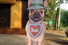 Foto: Hofewiese