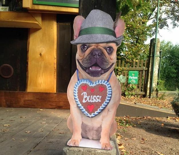 Foto: Hofewiese
