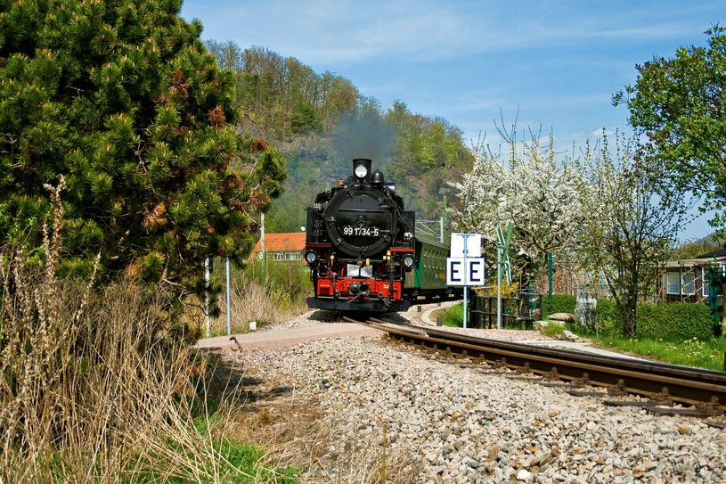 Weißeritztalbahn im Frühling.