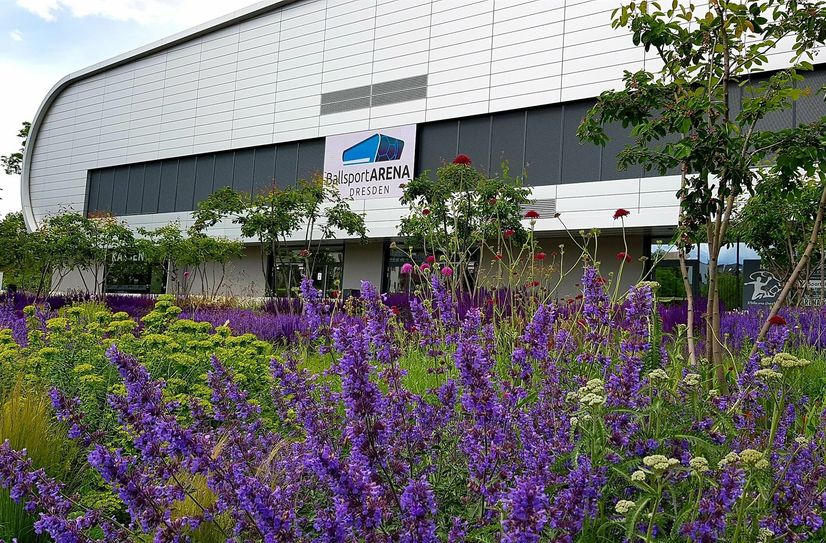 BallsportArena Dresden - Heimspielstätte des HC Elbflorenz