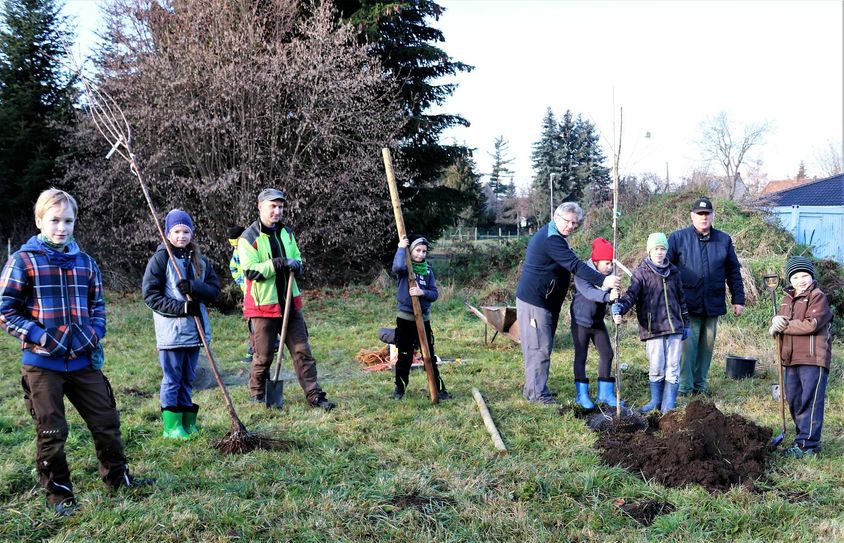 Am zweiten Adventssonnabend wurde für das Projekt »Streuobstwiese mit Naschgarten« in Breitenau fleißig gearbeitet. Foto:cjw