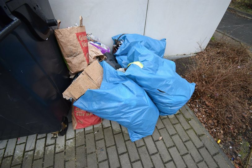 Müll neben der Tonne abgestellt.