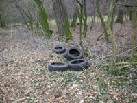 Altreifen in der Natur.