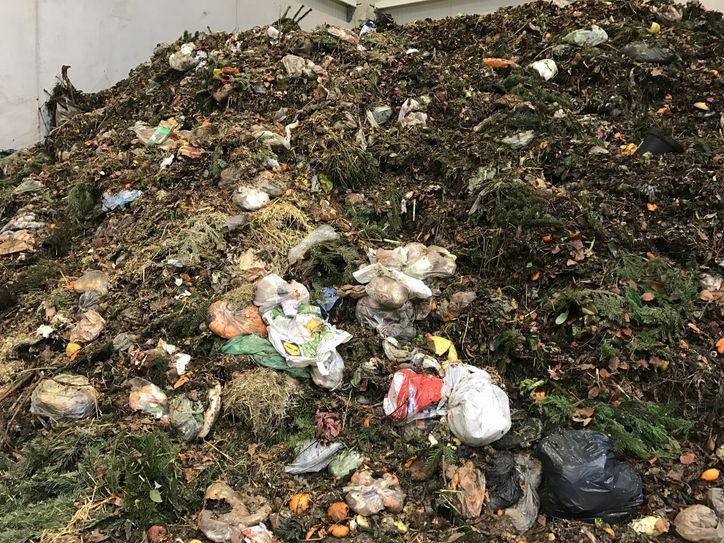 Die Mülltrennung bei Bioabfällen funktioniert in Dresden schon ganz gut. Dass man keine Plastikbeutel in die braune Tonne schmeisst, hat sich aber noch nicht überall herumgesprochen.