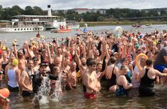 Bei der Vorjahresauflage gab es mit genau 1.917 Wasserratten einen neuen Teilnehmerrekord beim Dresdner Elbeschwimmen.