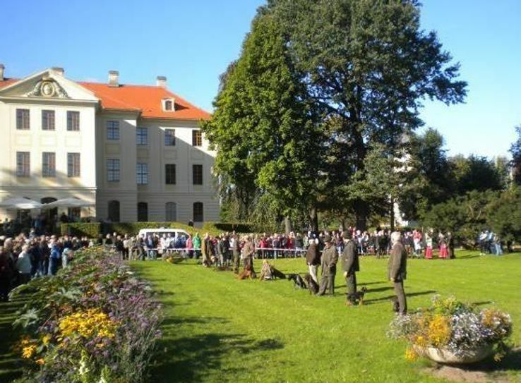 Das Hubertusfest in Zabeltitz findet zum 22. Mal statt. Foto: Archiv