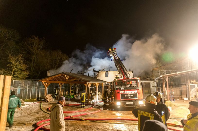 Gegen Abend war der Brand  endlich gelöscht   Fotos:M. Förster