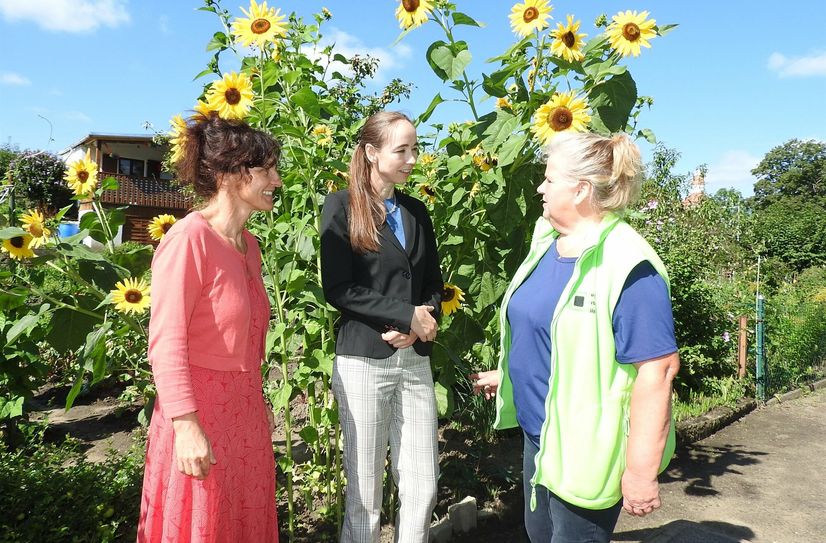 Dr. Solveig Buder (li.), GF des JAB e.V. und Anleiterin der »Tafelgärten« Ute Kronfeld (re.) im Gespräch mit der Dresdner Sozialbürgermeisterin Dr. Kristin Kaufmann.
