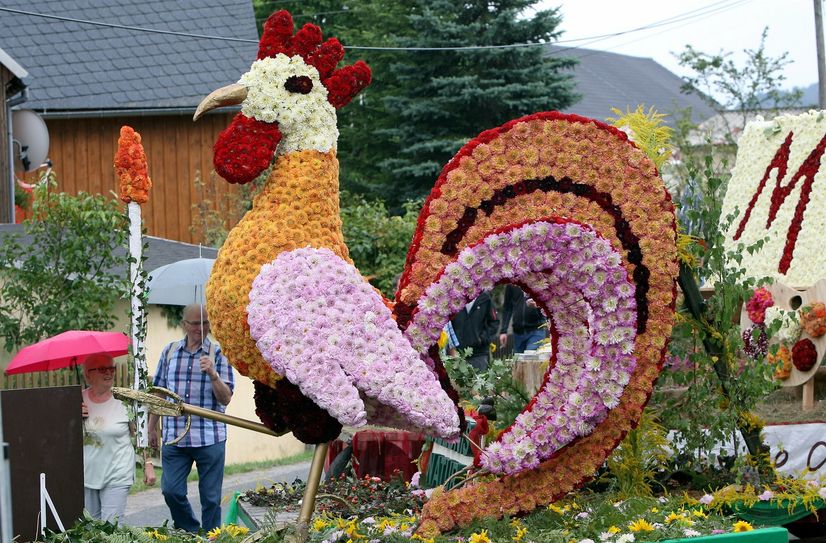 Die mit unzähligen Dahlien bestückten Blumenmotive waren ein beliebtes Foto-Objekt beim 47. Lichtenhainer Blumenfest.