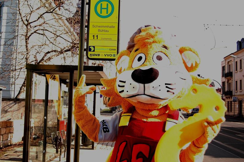 DVB-Maskottchen Leo freut sich, dass mit der Haltestelle die neue Schwimmhalle gut mit den öffentlichen Verkehrsmitteln erreichbar ist. Foto: Pohl