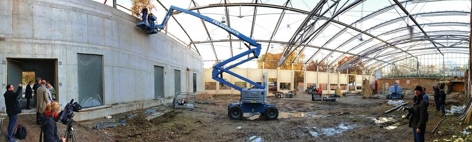 Richtfest am neuen Afrika Haus im Dresdner Zoo. Die Dresdner Elefanktenkühe bekommen künftig mehr Platz. Nicht nur sie. Foto: Schramm