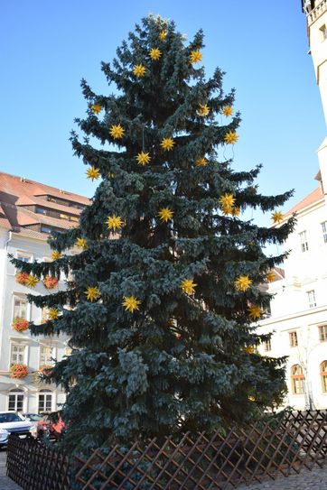 Der Weihnachtsbaum auf dem Hauptmarkt ist in diesem Jahr mit Herrnhuter Sternen geschmückt. Foto: Larbig