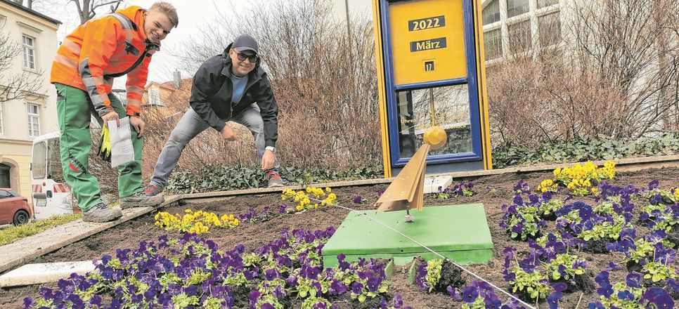 Die traditionelle Bepflanzung der Blumenuhr an der Großenhainer Marienkirche gehört zu den verlässlichen Zeichen, dass es Frühling wird. Uhrenmacher Falk Majok-Bökelmann und Garten- und Landschaftsbaulehrling Arthur Kerner vom Bauhof haben den Durchblick und viel Spaß. Foto: Fischerpress