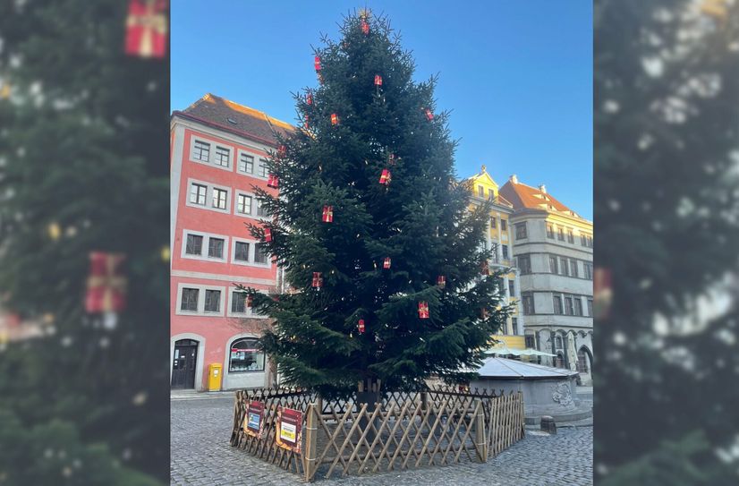 Wer den grünen Kaventsmann haben will, kann bis 20. Januar Lose kaufen.