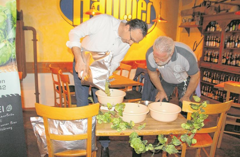 Voll konzentriert schauen Braumeister Gunter Spies (l.) und Oberbürgermeister Marco Müller auf die Waage beim Abfüllen des Hopfens für das neue Jubiläumsbier »RiezoweR«. Die Menge muss penibel genau stimmen, damit das Bier nach 21 Tagen seinen echten Riesaer Geschmack entfaltet, den sich der Braumeister vorstellt.