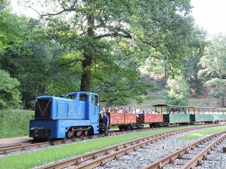 Die Waldeisenbahn darf wieder fahren, momentan allerdings nicht im Regelbetrieb. Aktuell sind nur Themenfahrten möglich. Foto: Waldeisenbahn