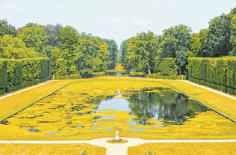 Die Teiche und Bassins der herrlichen Barockgartenanlge in Zabeltitz haben derzeit mit einem schweren Befall der Fadenalge zu kämpfen. Die anhaltend hohen Temperaturen haben das Wachstum begünstigt. Auch die Fontäne musste aus diesem Grund bereits abgeschaltet werden. Jetzt rückt eine Spezialfirma an.