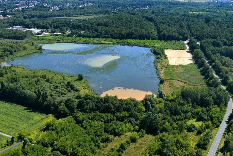 Restloch 38 - Der Kuthteich zu Beginn der Sanierung. Foto: LMBV/Peter Radke