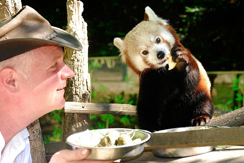 Bestellungen auf dem Serviertablett, das gilt ab sofort auch für alle Online-Kunden des Tierparks. Foto: C. Hammer