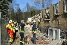 Am Abrissblock in Friedrichshain ist ein Trümmersuchhund während seiner Prüfung im Einsatz.