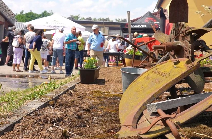 Während der 30. Brandenburger Landpartie laden auch Höfe im Landkreis Oberspreewald-Lausitz zum Entdecken und Verweilen ein.