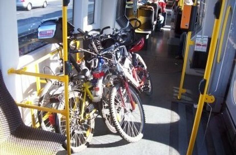 Alltägliches Bild in Dresdner Bussen und Straßenbahnen.