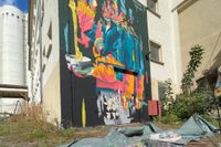 Ibug in Riesa