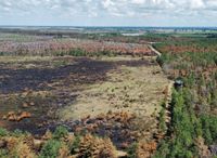 Weitläufige verkohlte Flächen in der Gohrischheide. Fotos: Farrar