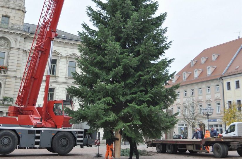 Bisher hat es immer geklappt, dass Großenhain ein recht stattliches Modell für den Weihnachtsmarkt finden konnte.