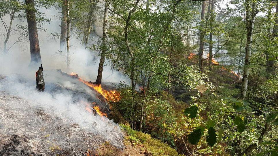 Flammen werden immer wieder von Windböen angefacht. Foto: Daniel Förster
