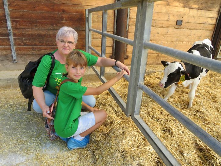 Das Säubern des Kälberstalls und die Versorgung der Tiere machte den Jungen und Mädchen Spaß.