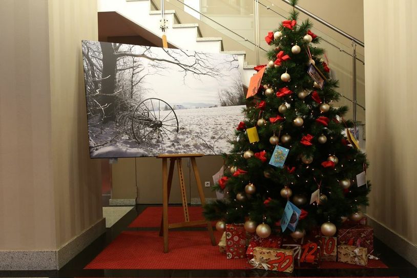Dies ist der Wunschbaum, der in der Lobby des Best Western Plus Hotels auf viele Wunscherfüller wartet. Foto: Hotel