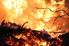 Ab März steigt das Waldbrandrisiko wieder an.