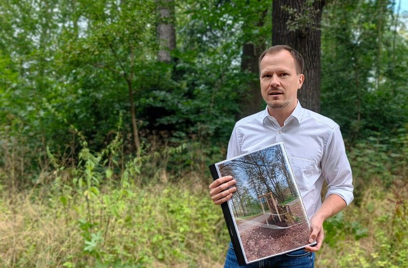 Dr. Claudius Wecke an einer Lichtung, die der Spitzahorn erobert hat. Der wird gerodet und Eichen werden neu gepflanzt.