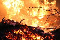 Ab März steigt das Waldbrandrisiko wieder an.